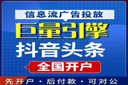 某行业巨头背后的SEM代运营服务公司
